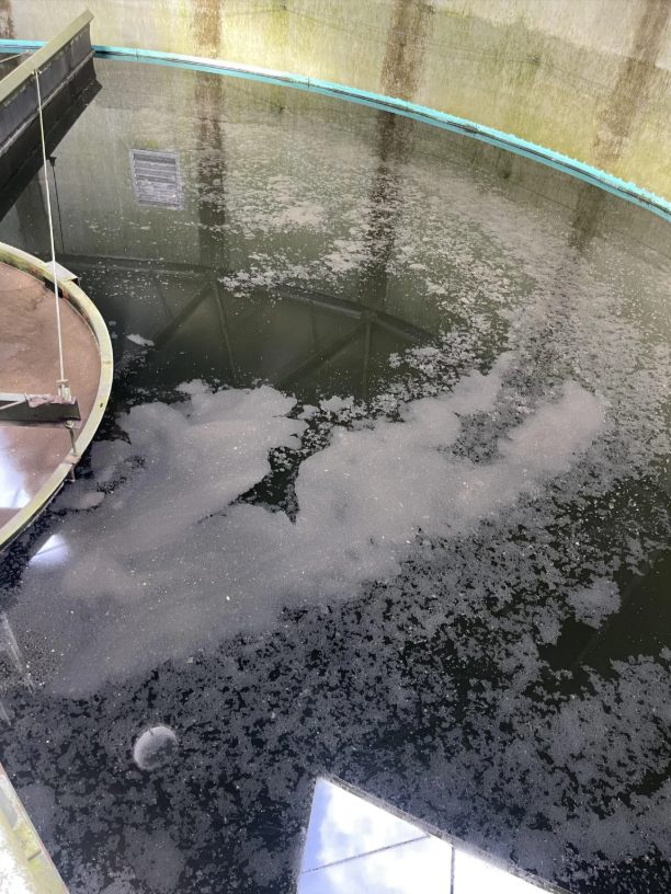 Photo of the clarifier surface showing pin floc